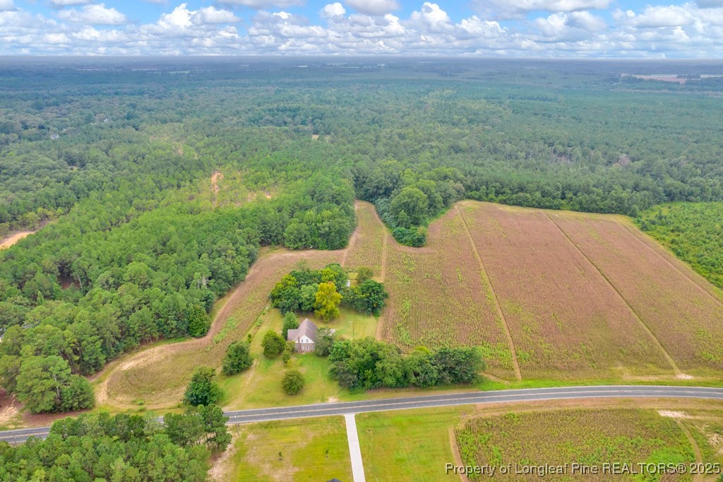 0 Blue Woods Road Laurinburg, NC 28352 - Photo 16 of 40 a view of a garden from a balcony