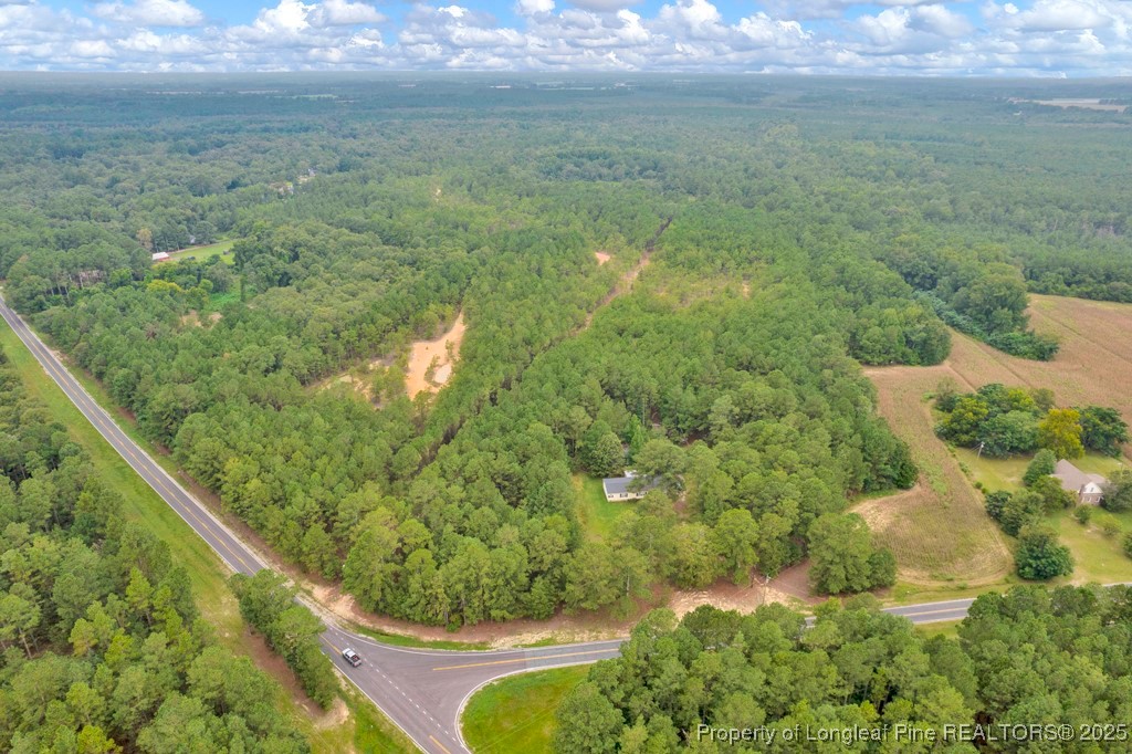 0 Blue Woods Road Laurinburg, NC 28352 - Photo 17 of 40 a view of a garden from a balcony