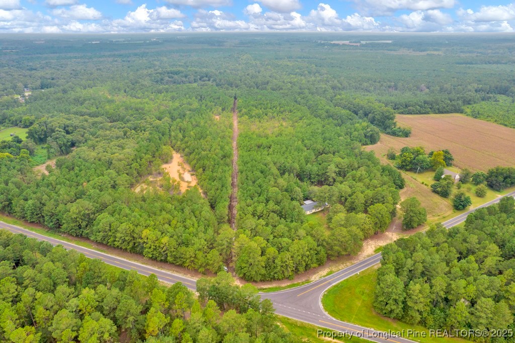 0 Blue Woods Road Laurinburg, NC 28352 - Photo 18 of 40 a view of lake with green space
