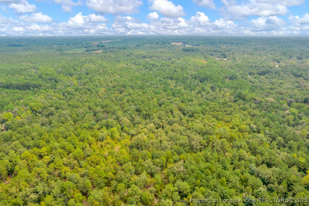 0 Blue Woods Road Laurinburg, NC 28352 - Photo 2 of 40 a view of a field