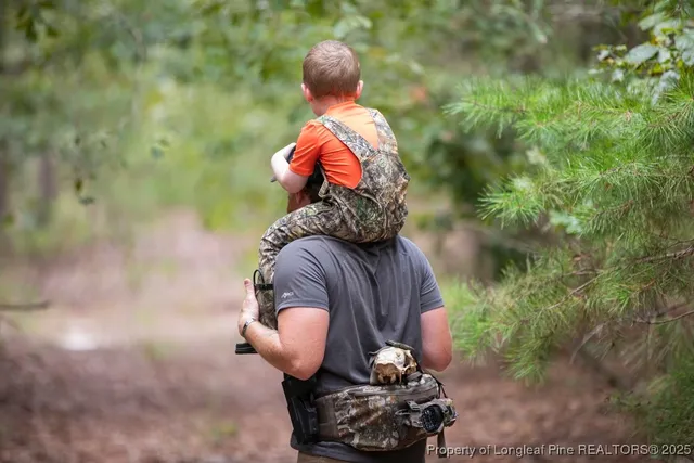 a view of a backyard of the house