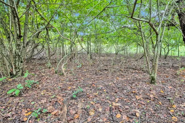 a view of a backyard of the house