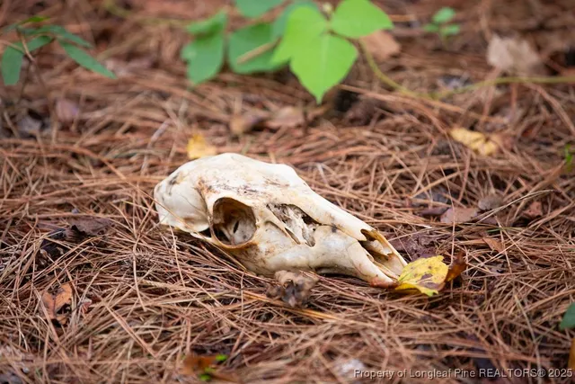 a bathroom with a sink