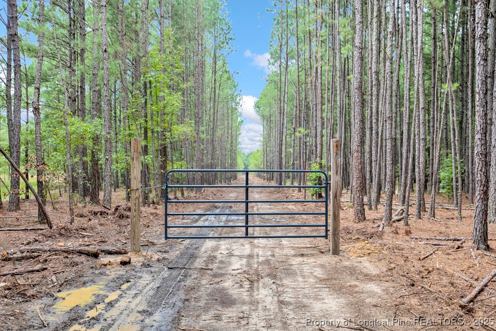 0 Blue Woods Road Laurinburg, NC 28352 - Photo 3 of 40 a view of backyard with deck and trees