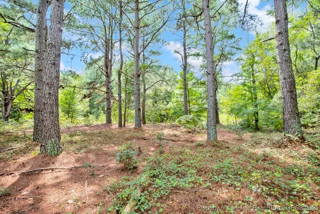 a view of a tree in a yard