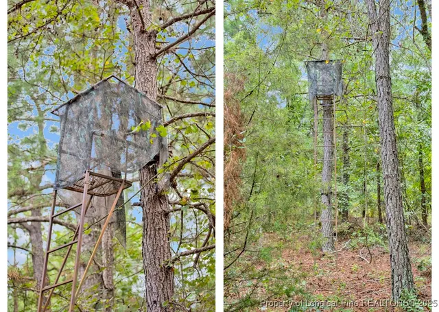 $460,000 | 0 Blue Woods Road, Laurinburg, NC 28352