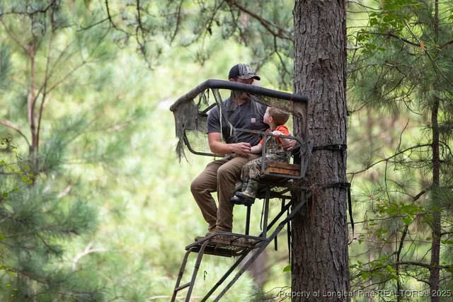 $460,000 | 0 Blue Woods Road, Laurinburg, NC 28352