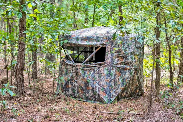 $460,000 | 0 Blue Woods Road, Laurinburg, NC 28352