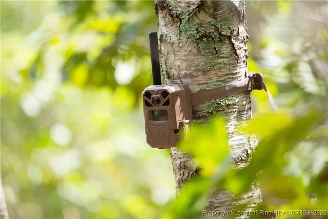 $460,000 | 0 Blue Woods Road, Laurinburg, NC 28352