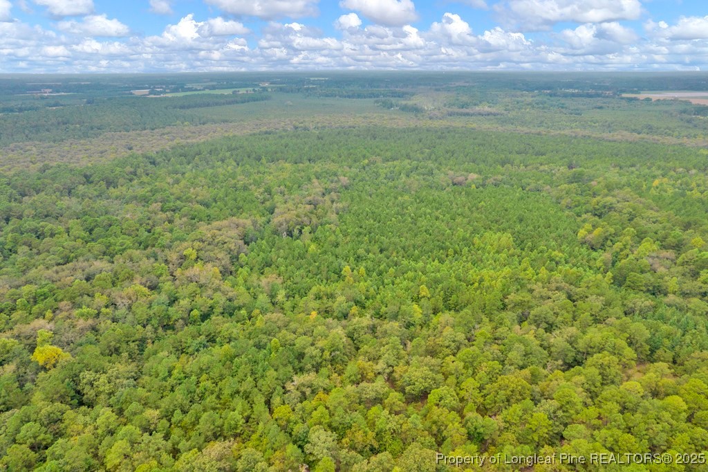 0 Blue Woods Road Laurinburg, NC 28352 - Photo 5 of 40 a view of a lake view