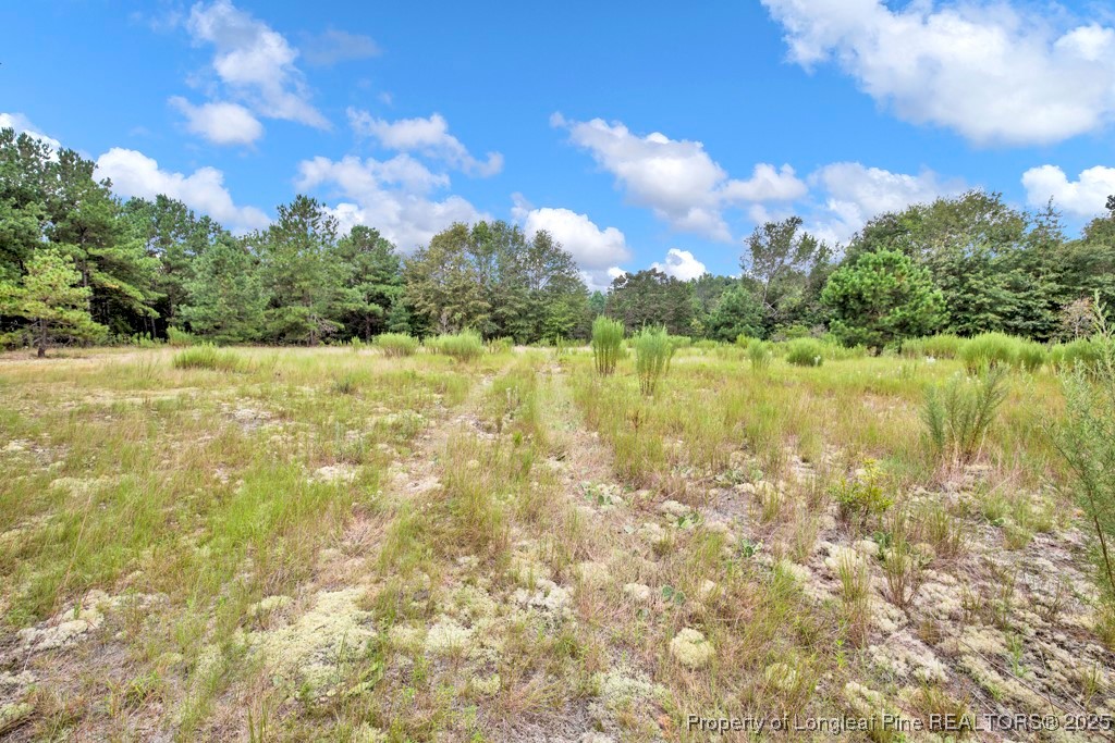 0 Blue Woods Road Laurinburg, NC 28352 - Photo 7 of 40 a view of an ocean view
