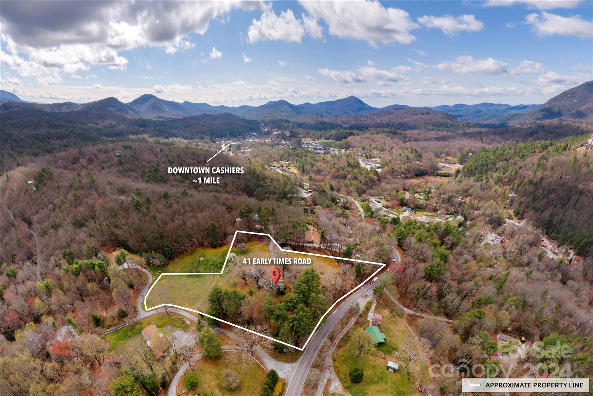 41 Early Times Road Cashiers, NC 28717 - Photo 42 of 42 Gallery Image 42