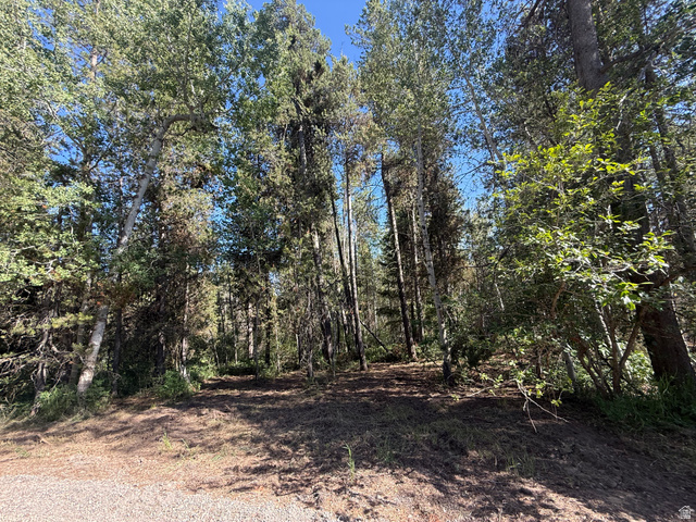 4376 Granite Ridge Ashton, ID 83420 - Photo 6 of 50