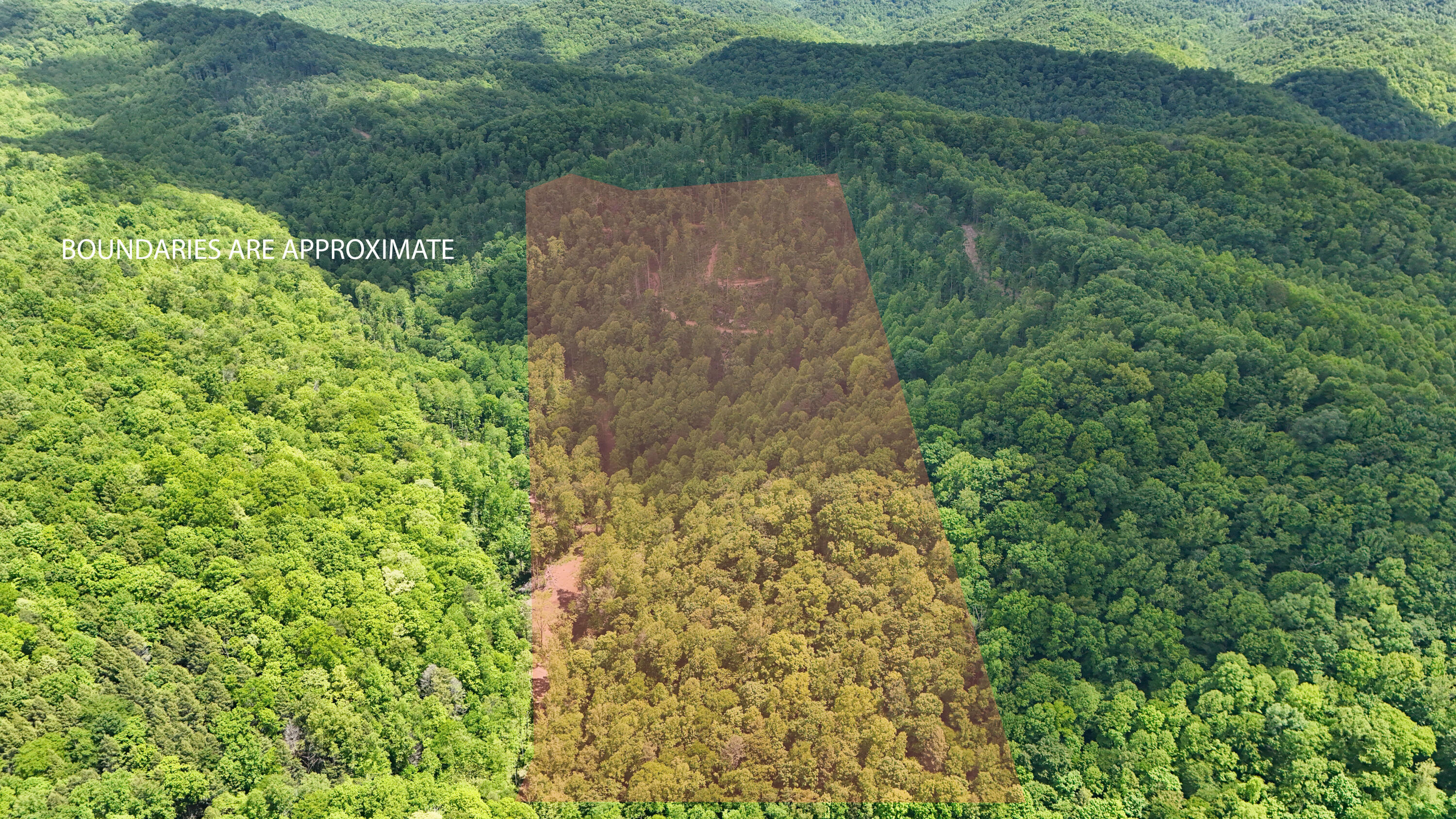 0 Amy Branch Road Essie, KY 40827 - Photo 3 of 19 LightroomRealEstateEdits-2 copy