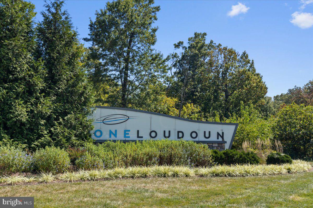 44614 Wolfhound Square Ashburn, VA 20147 - Photo 42 of 48 a view of a house with a yard