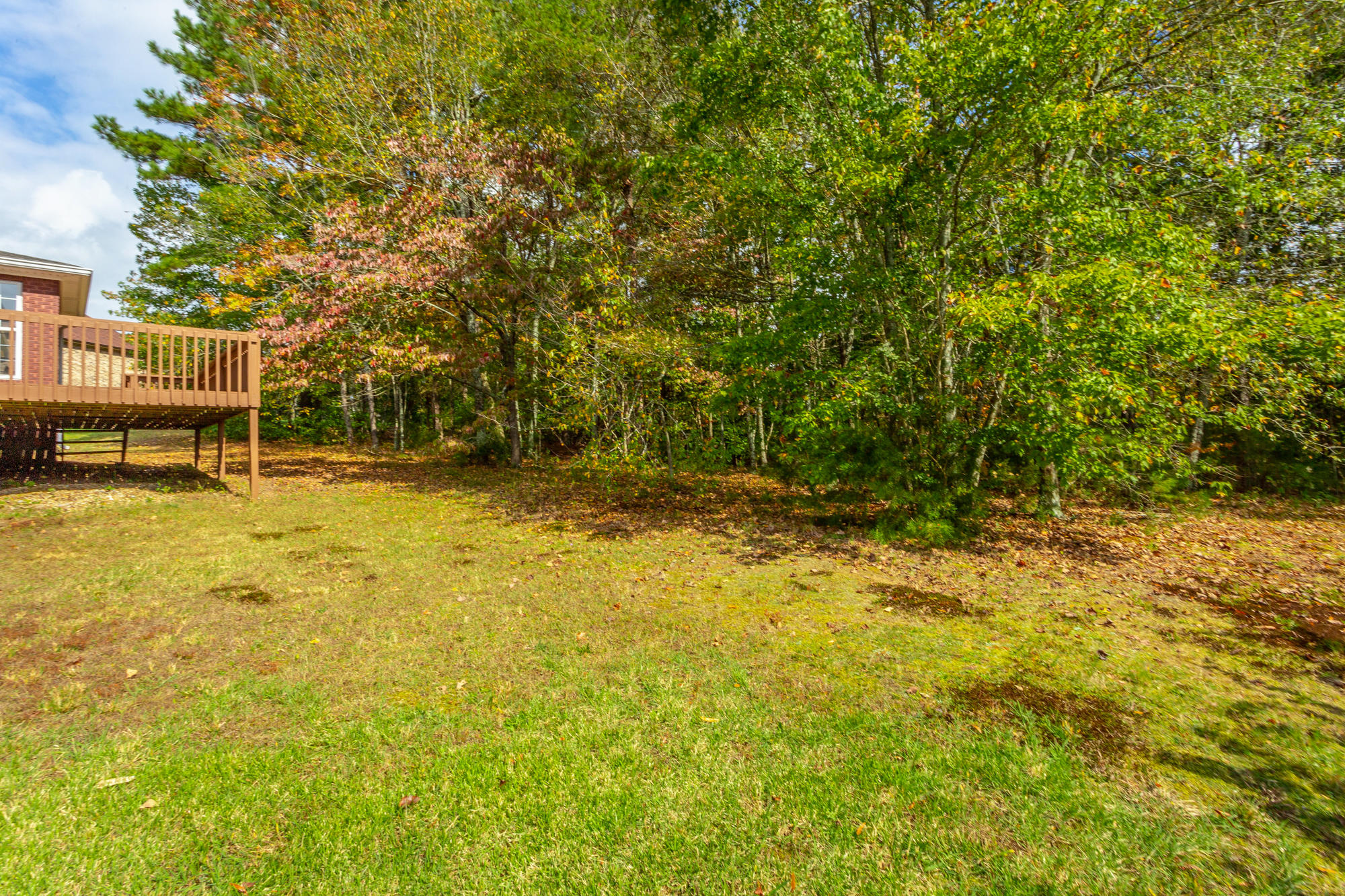101 Trinity Lane Rock Spring, GA 30739 - Photo 8 of 33 101 Trinity Ln. HD-22