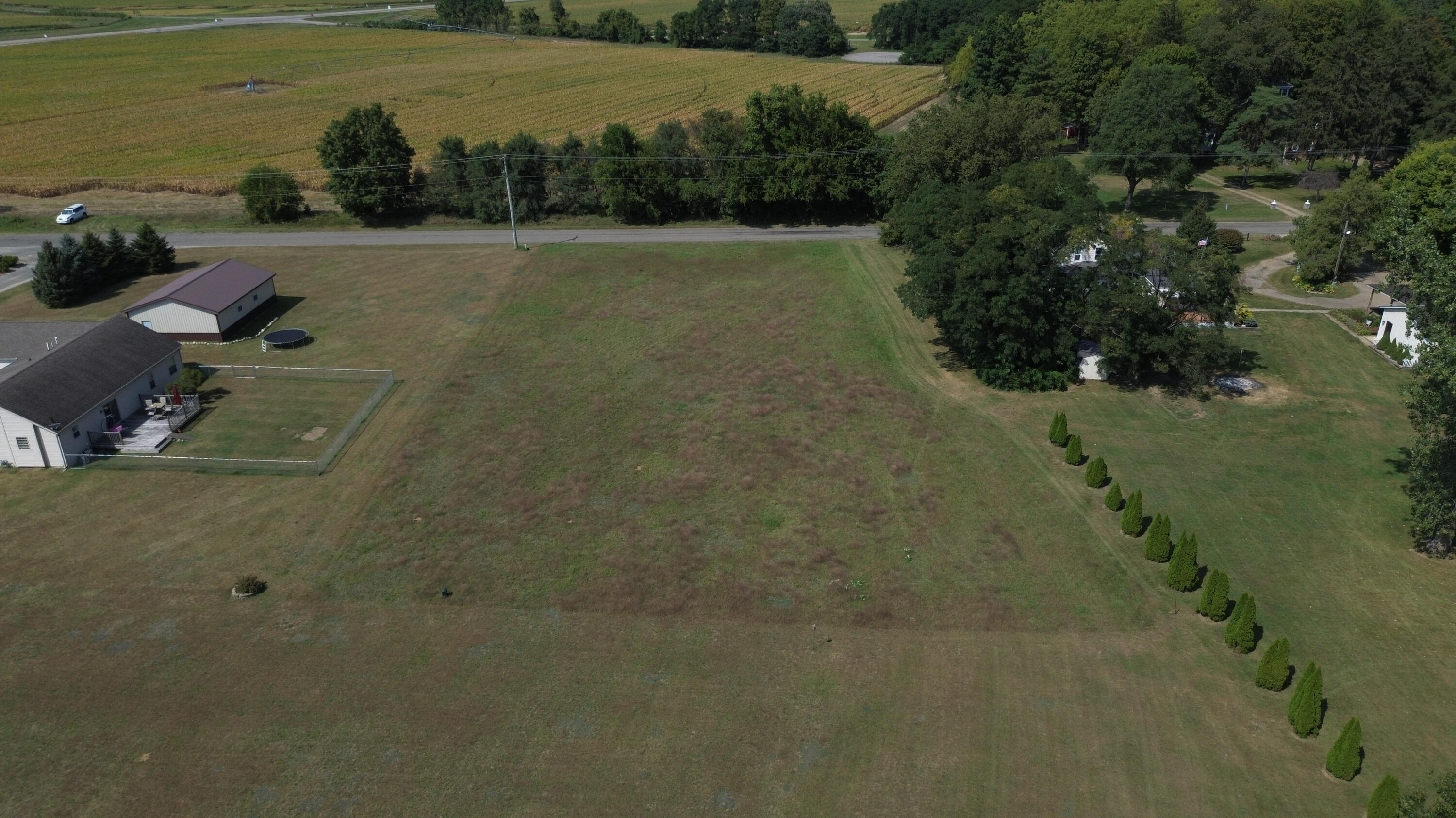 Locust Street Constantine, MI 49042 - Photo 3 of 9 DJI_0213