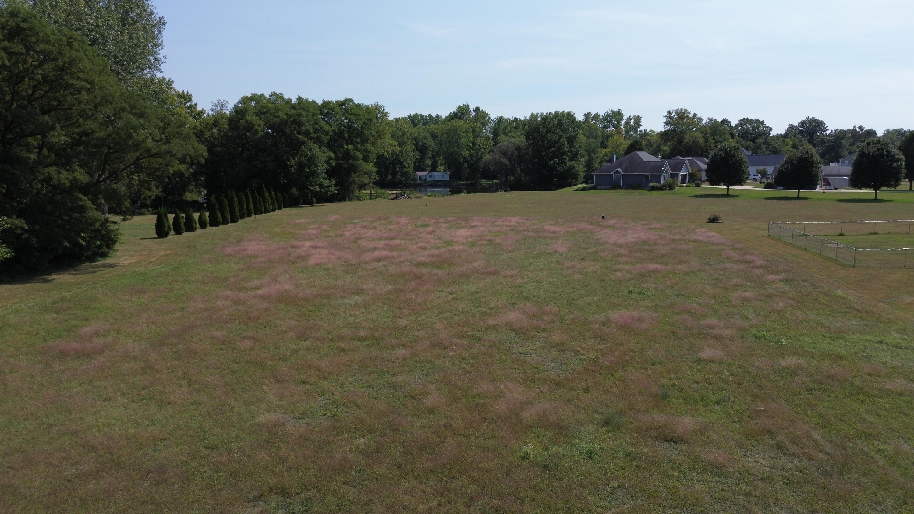 Locust Street Constantine, MI 49042 - Photo 6 of 9 DJI_0210