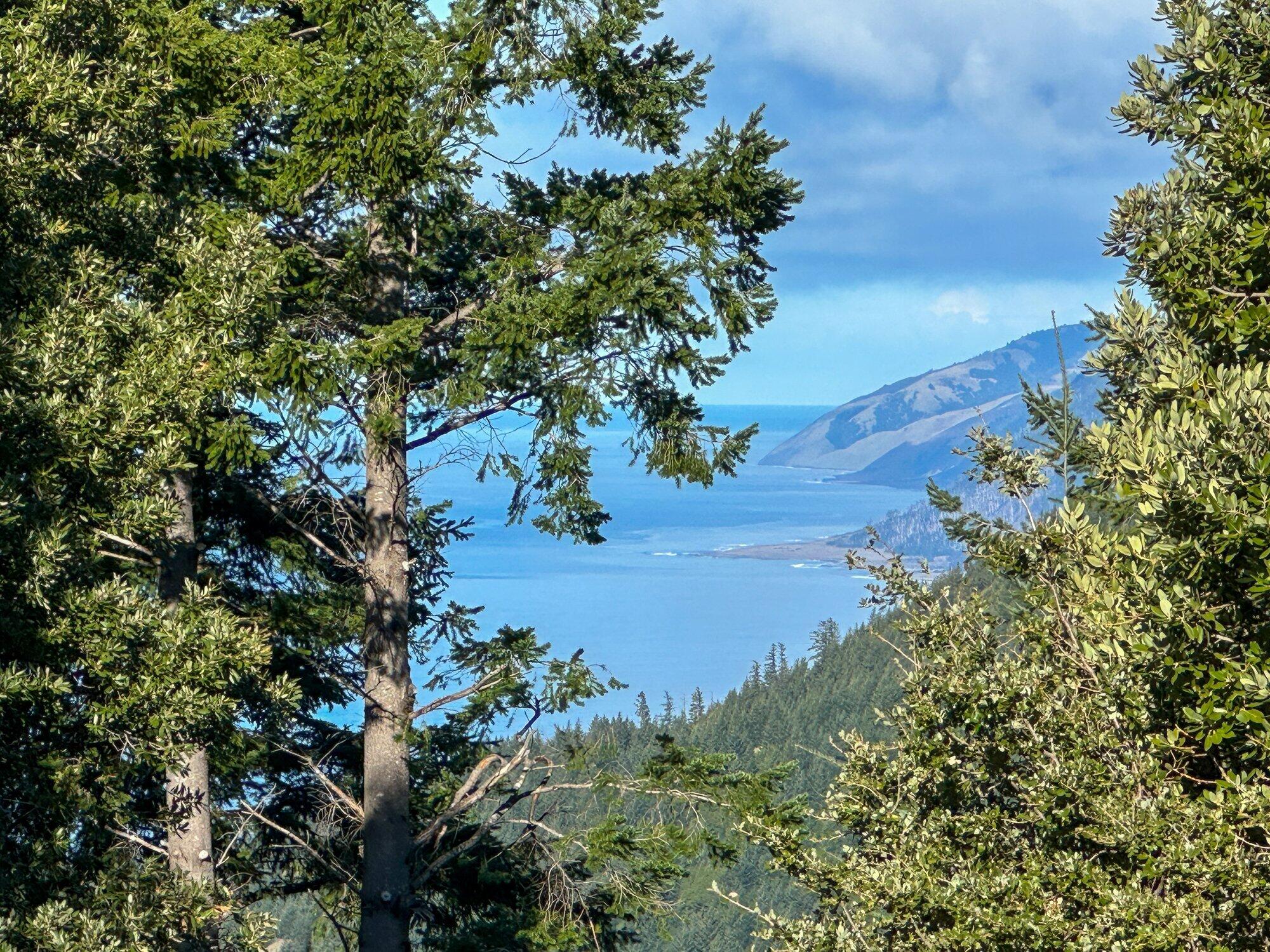 127 Cook Road Shelter Cove, CA 95589 - Photo 45 of 68