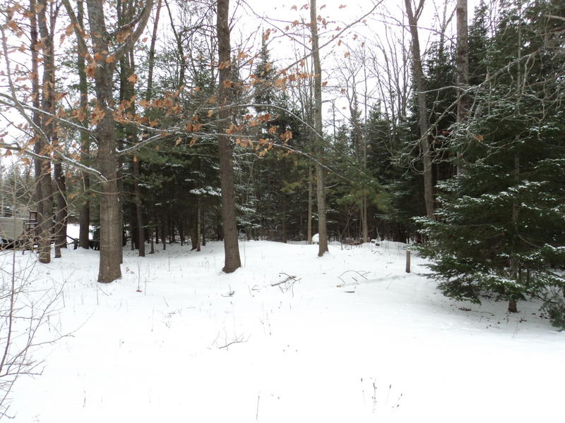 3541 French Road Alpena, MI 49707 - Photo 22 of 25 Gallery Image 22