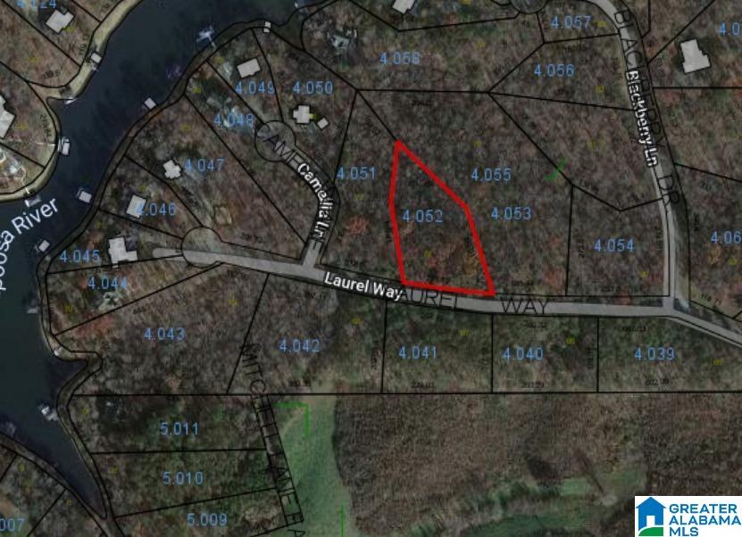 0 Laurel Way, Unit LOT 78 Wedowee, AL 36278 - Photo 4 of 4
