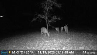 554 Barnes Lake Road Columbiaville, MI 48421 - Photo 24 of 31
