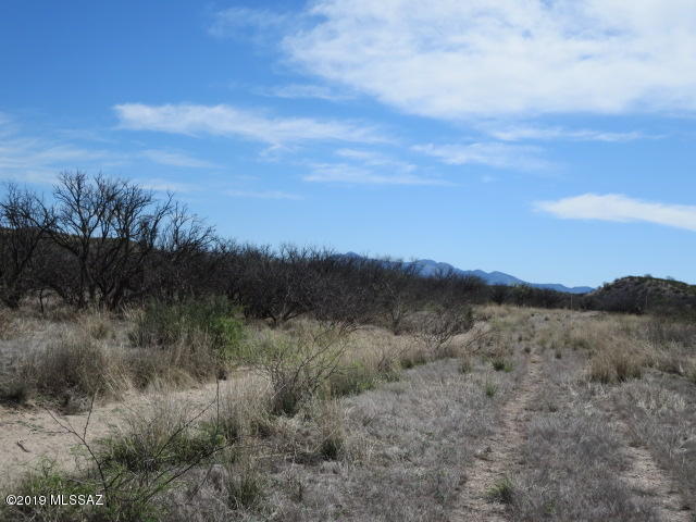 9.27-ac North Cascabel Road, Unit 2 Benson, AZ 85602 - Photo 5 of 13