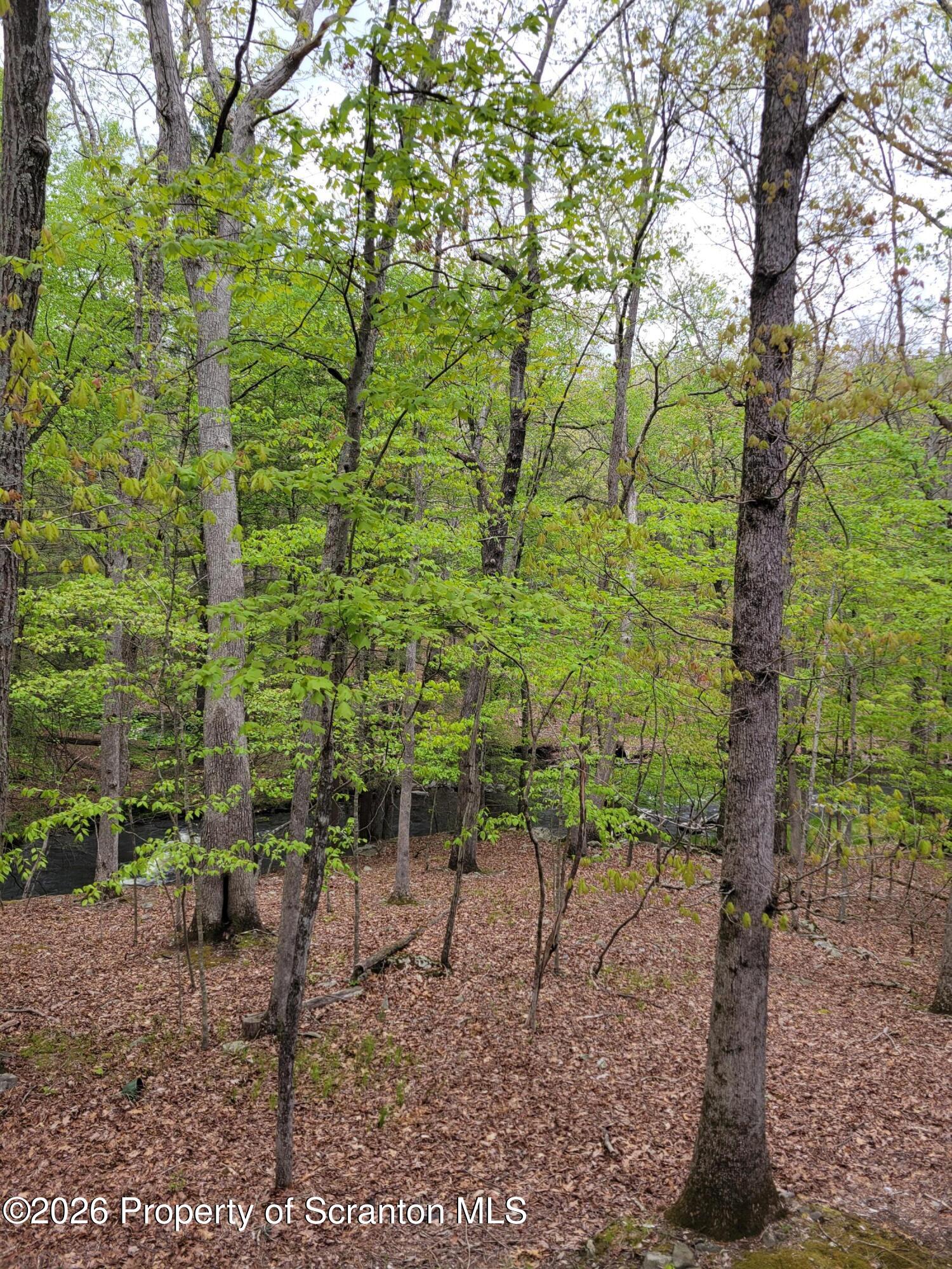 128 Meadow View Court Bushkill, PA 18324 - Photo 20 of 21 5699