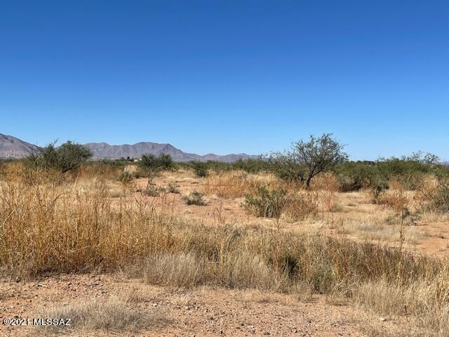 Highland Road Pearce, AZ 85625 - Photo 4 of 24