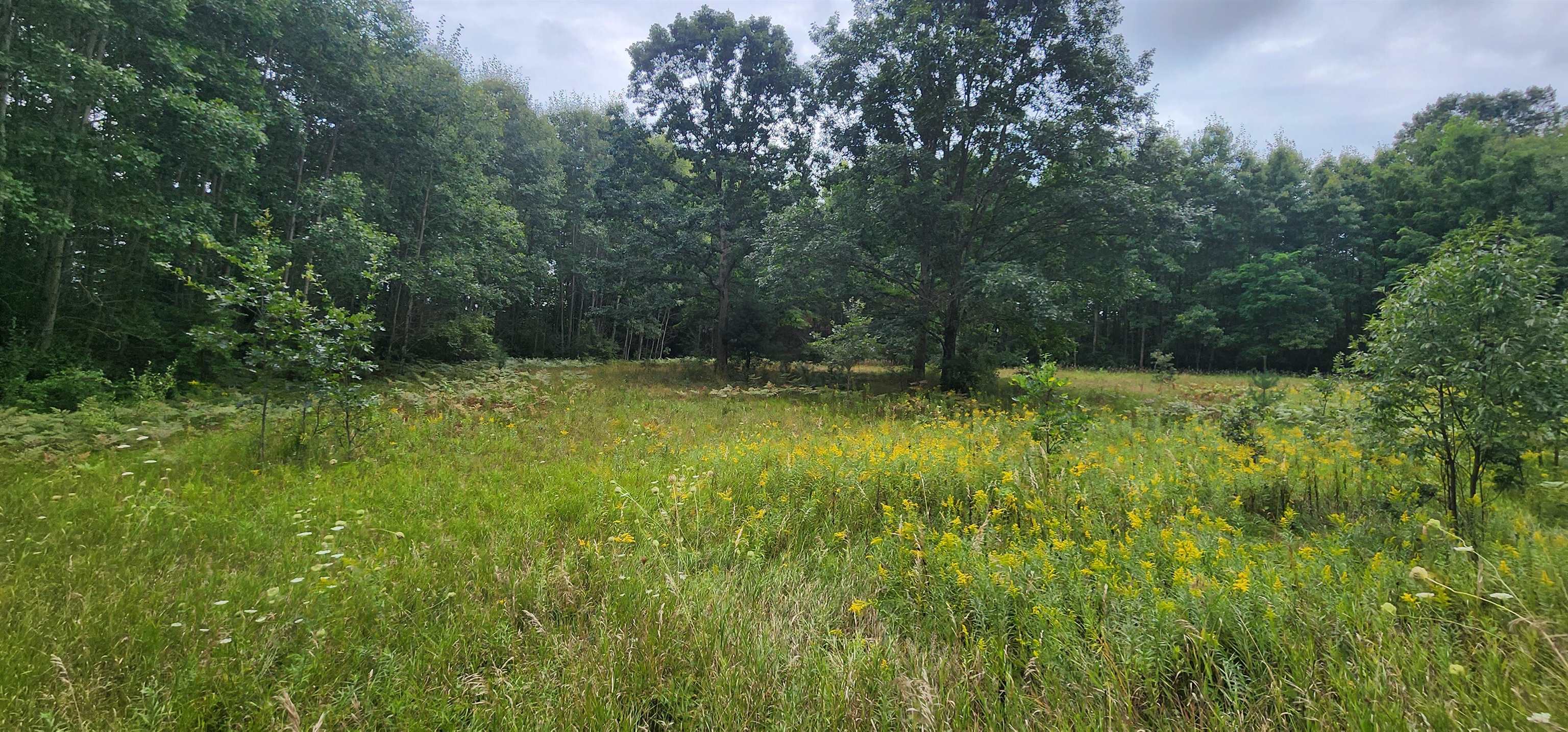 Parcel C River Road Manistee, MI 49660 - Photo 1 of 12