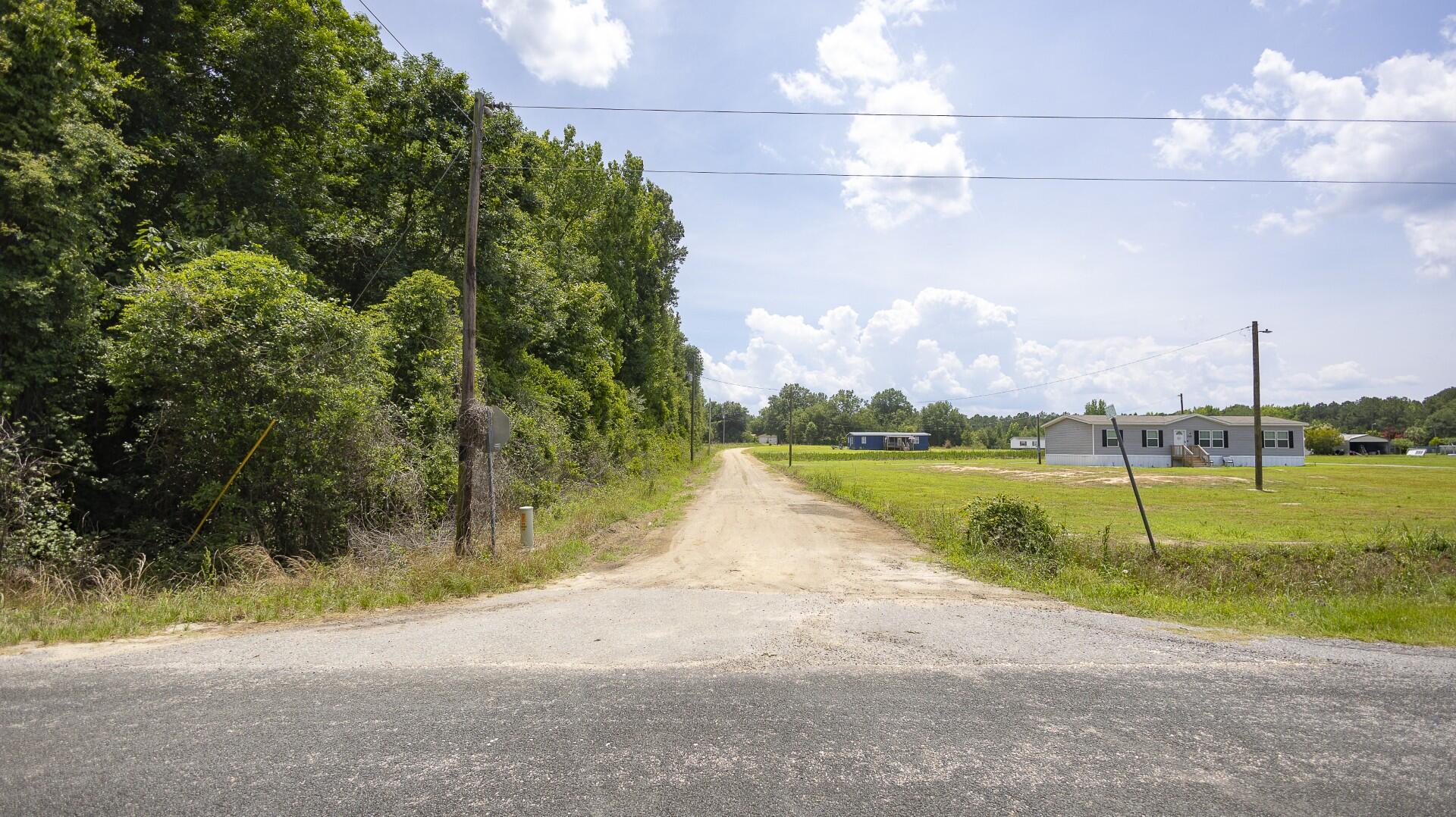 2 Joseph Lemon And Dingle Road Manning, SC 29102 - Photo 8 of 44