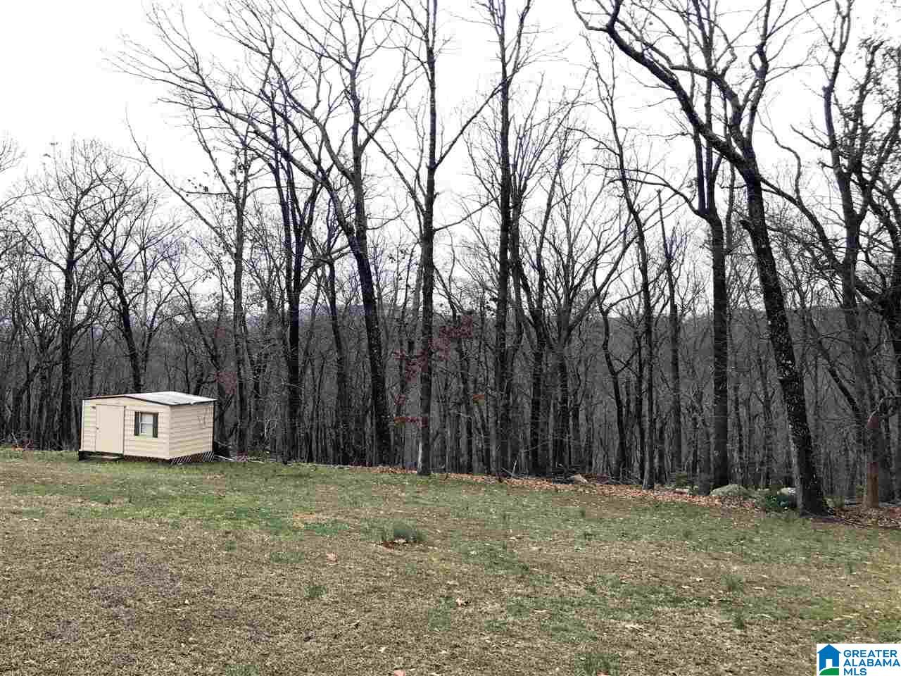 2315 Ridgeview Road Anniston, AL 36207 - Photo 31 of 35