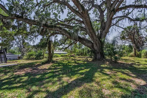 a view of a park that has large trees