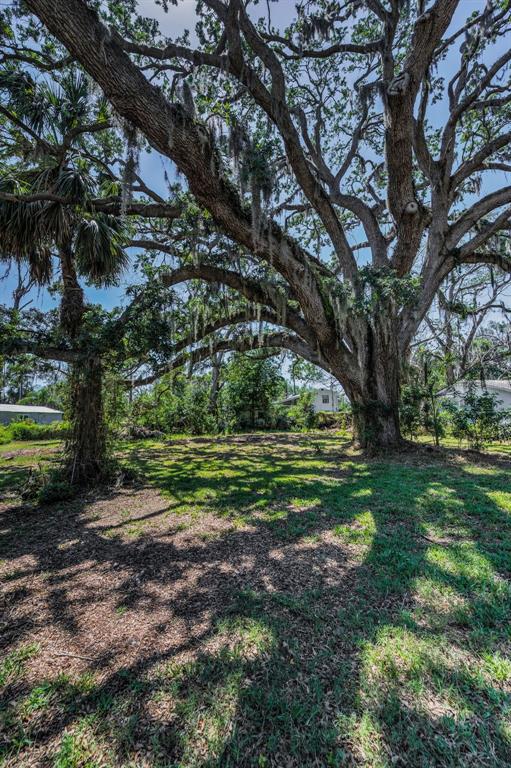 6521 Oelsner Street New Port Richey, FL 34652 - Photo 30 of 44