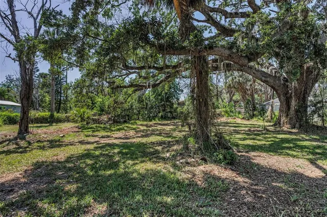 a tree in the middle of a yard