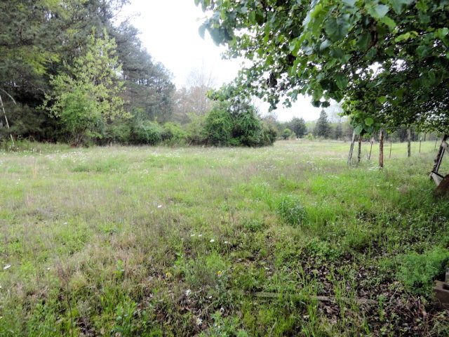 415 Fishing Village Road Plum Branch, SC 29845 - Photo 28 of 29 cleared pasture