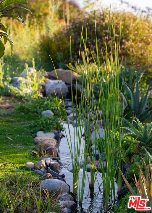 2195 Little Las Flores Road Topanga, CA 90290 - Photo 15 of 32 a view of yard with green space