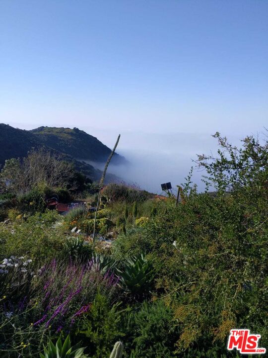 2195 Little Las Flores Road Topanga, CA 90290 - Photo 23 of 32 a view of a bunch of plants and mountain view in back