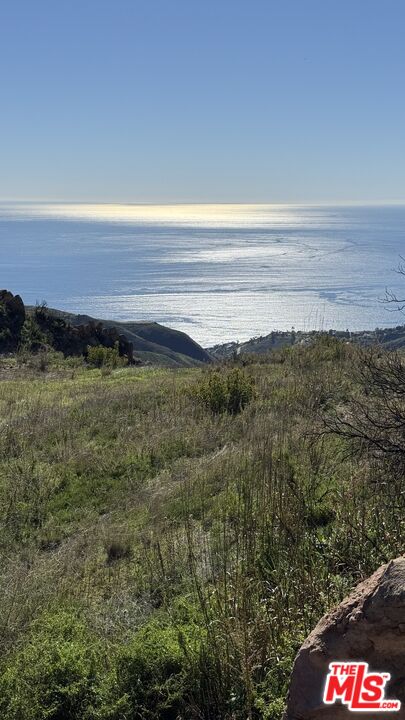2195 Little Las Flores Road Topanga, CA 90290 - Photo 30 of 32