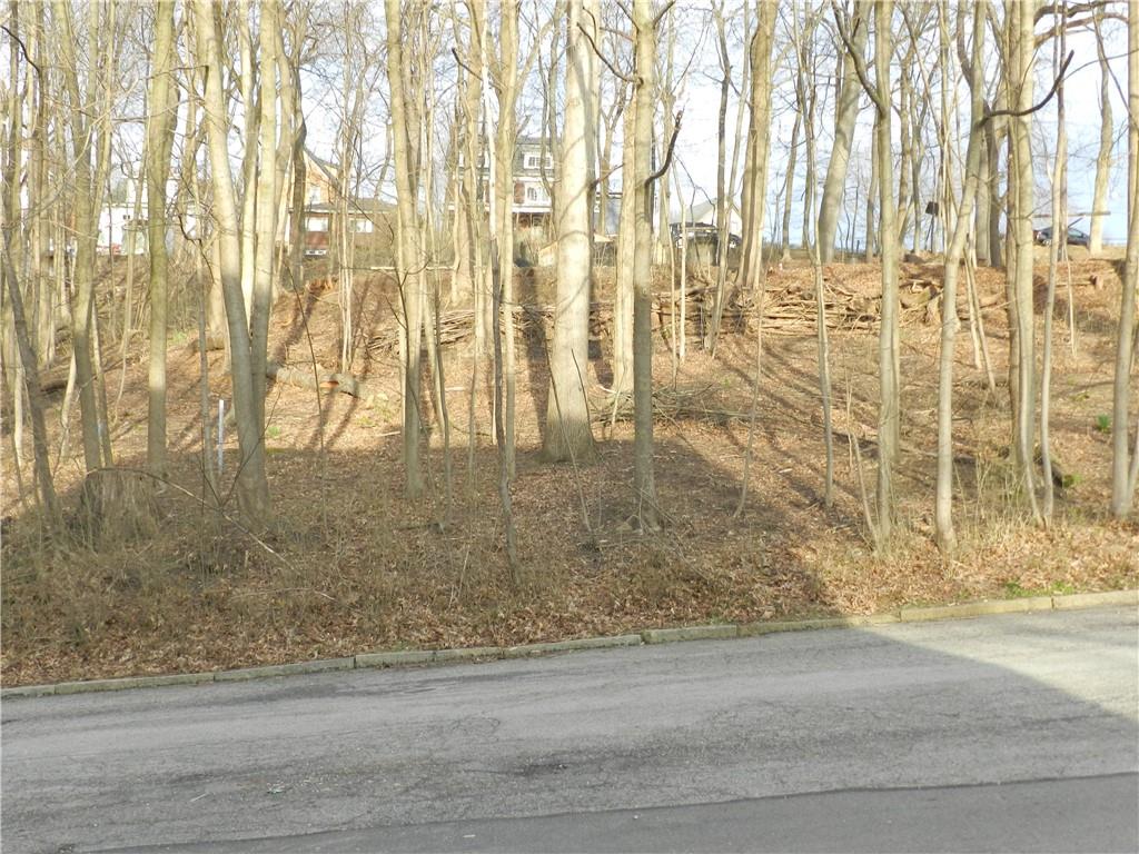 202 Summit Street Butler, PA 16001 - Photo 2 of 28 This is the nature view across the street from the large front porch.