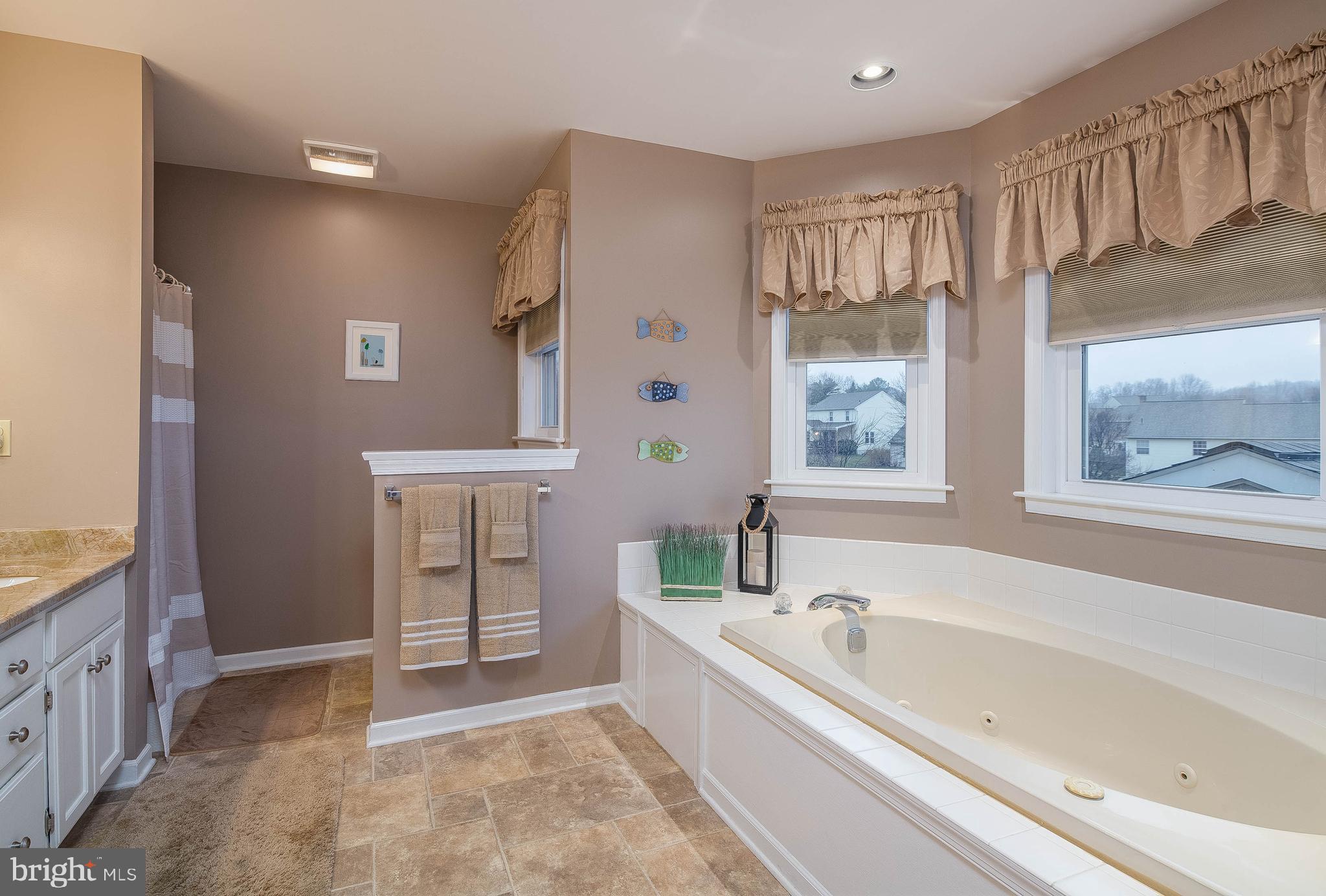 1173 Cedar Top Road Reading, PA 19607 - Photo 19 of 34 Master Bathroom