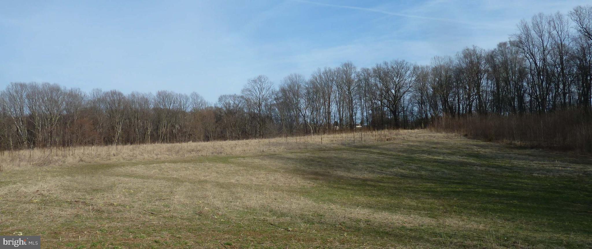 0 Park Mills Road Adamstown, MD 21710 - Photo 12 of 12 a view of a yard with trees in the background