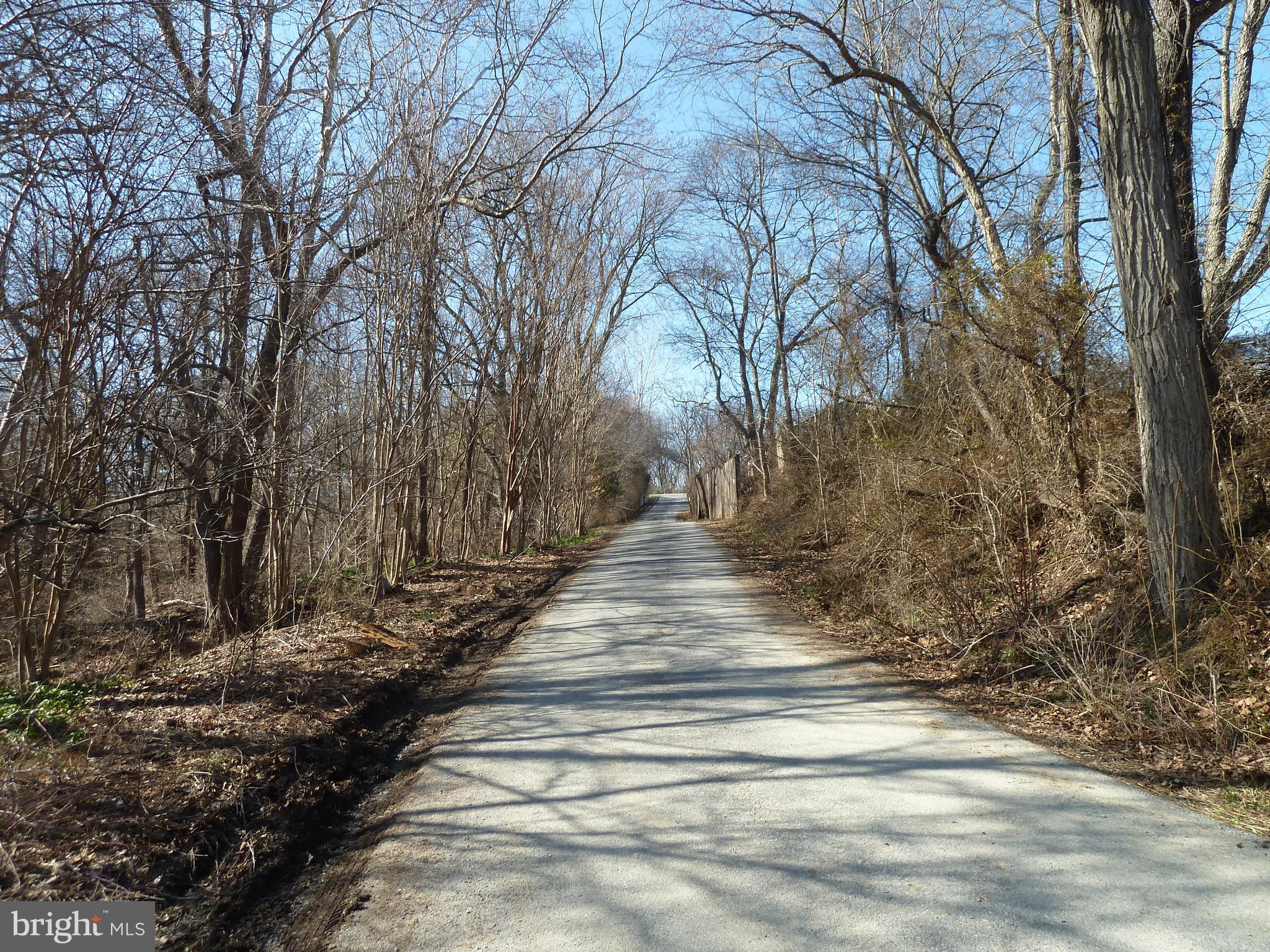 0 Park Mills Road Adamstown, MD 21710 - Photo 4 of 12 a view of pathway with tree in back