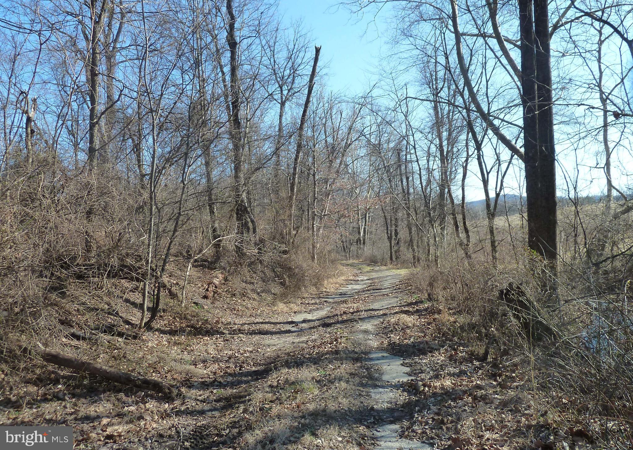 0 Park Mills Road Adamstown, MD 21710 - Photo 7 of 12 a view of a yard with trees