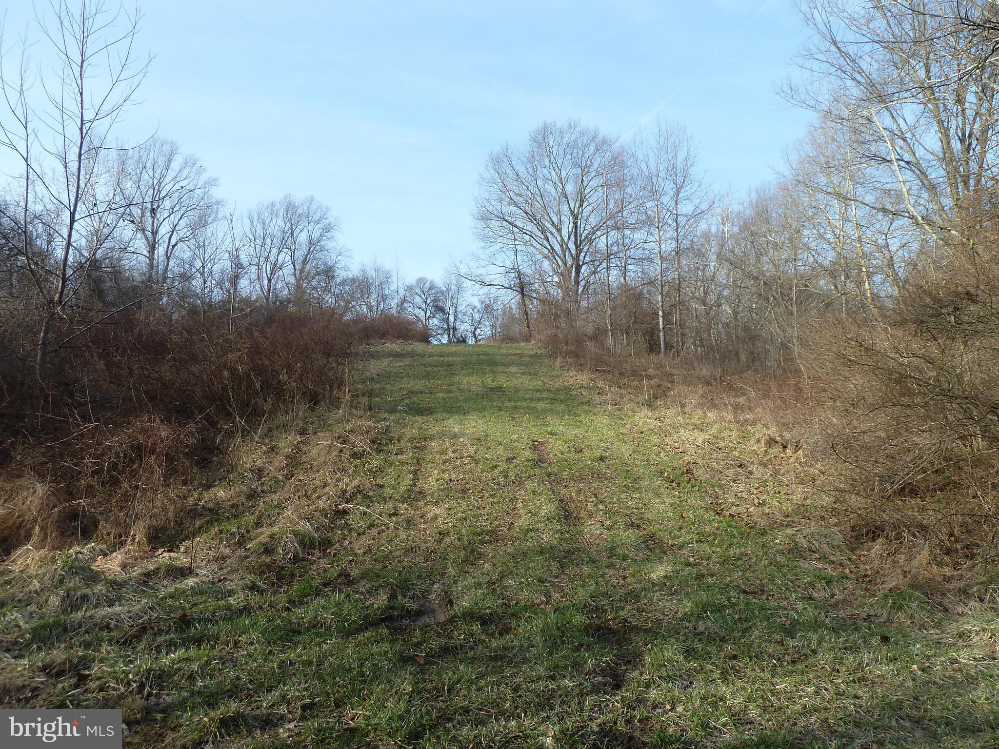 0 Park Mills Road Adamstown, MD 21710 - Photo 10 of 12 a view of a outdoor space and trees