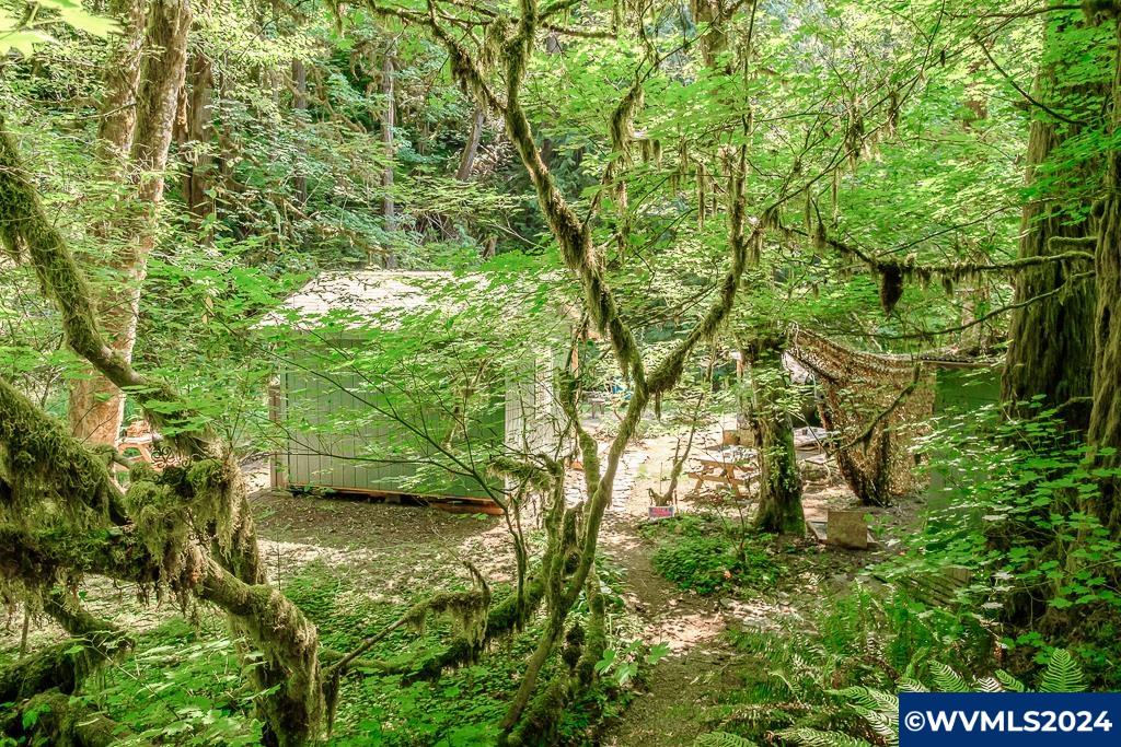 12860 Gilbert Creek Road Willamina, OR 97396 - Photo 7 of 38
