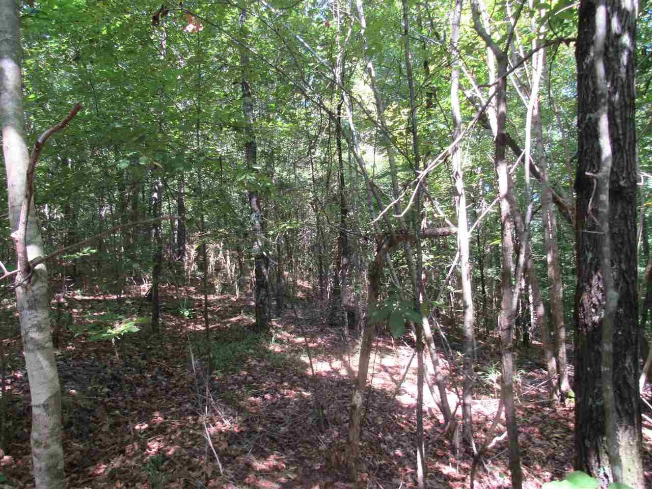 3155 Perry Road Grenada, MS 38901 - Photo 21 of 33 Photo 21