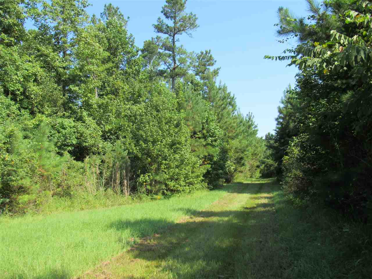 3155 Perry Road Grenada, MS 38901 - Photo 8 of 33 Photo 8