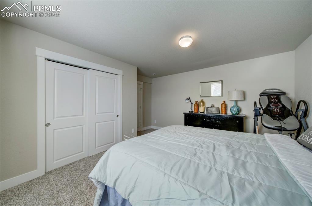 5489 Makalu Drive Colorado Springs, CO 80924 - Photo 35 of 47 a bedroom with a bed and a closet