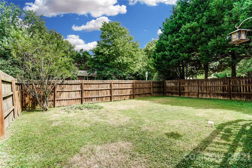 4460 Applegate Road Charlotte, NC 28209 - Photo 41 of 41 a view of backyard and tree